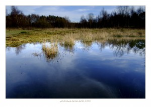 Weihnachtsfrühstück_Dez2015_by_WolfgangDeselaers_DSF6051_LR_23_4896 x 3264